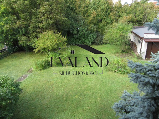 widok na ogród widok na ogród
